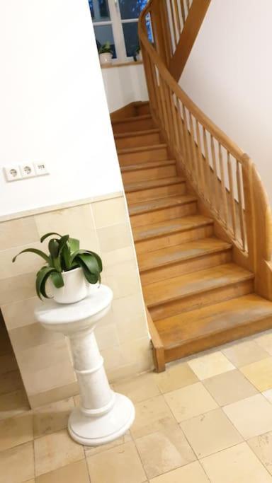 Ferienwohnung In Der Villa Sana Mit Grossem Garten Rofingen Dış mekan fotoğraf