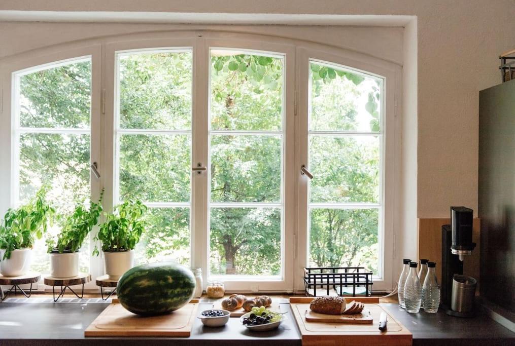 Ferienwohnung In Der Villa Sana Mit Grossem Garten Rofingen Dış mekan fotoğraf