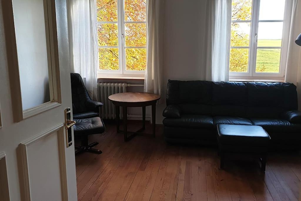 Ferienwohnung In Der Villa Sana Mit Grossem Garten Rofingen Dış mekan fotoğraf