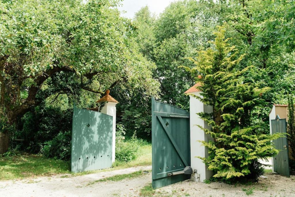 Ferienwohnung In Der Villa Sana Mit Grossem Garten Rofingen Dış mekan fotoğraf