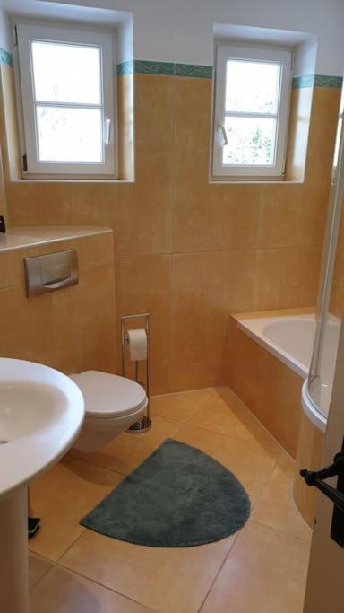 Ferienwohnung In Der Villa Sana Mit Grossem Garten Rofingen Dış mekan fotoğraf